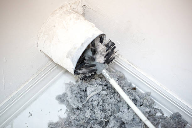 Best Local Air Duct Cleaning Services  in Odenton, MD